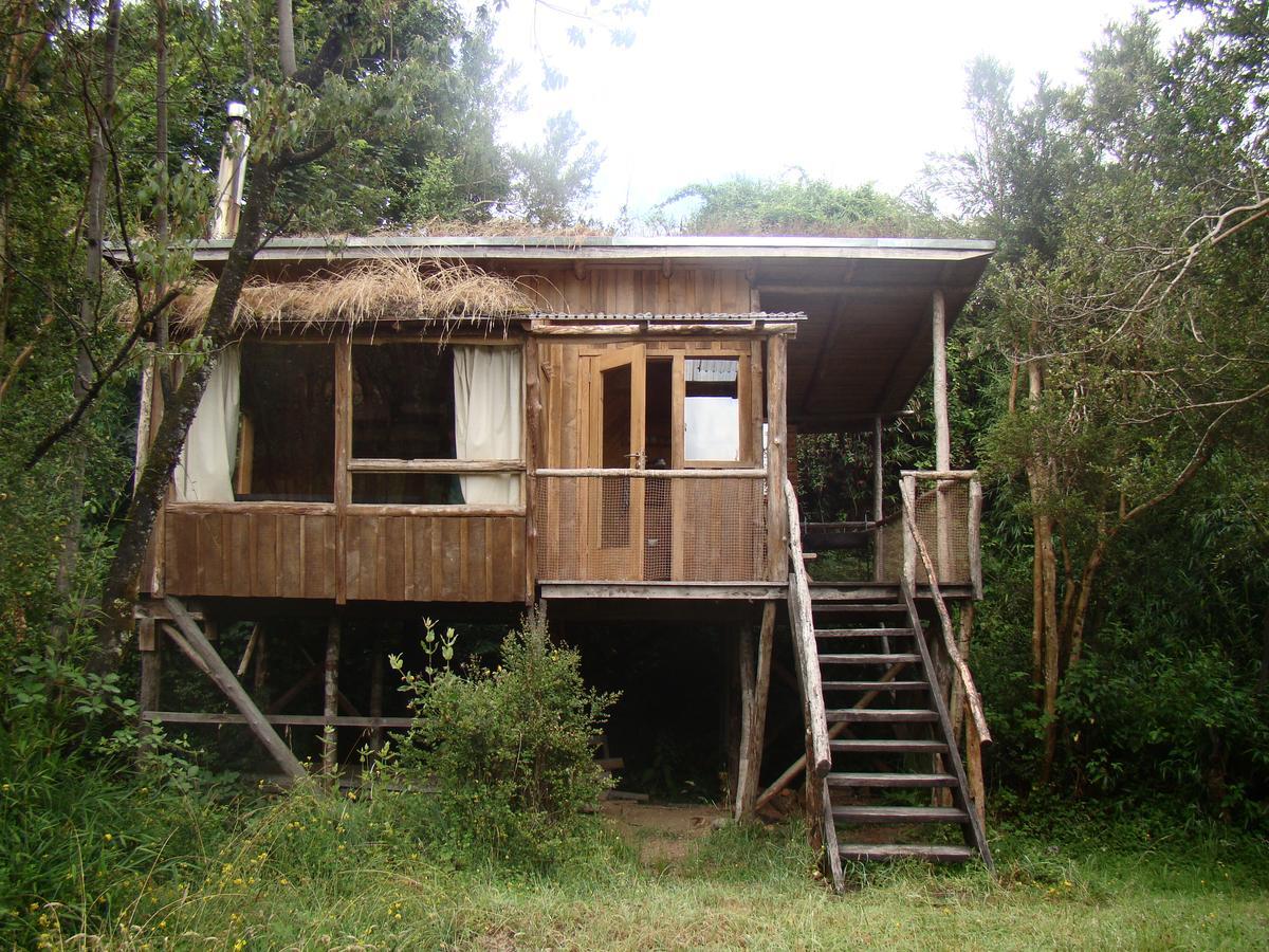 Puelo Siempreverde Vila Puelo River Exterior foto